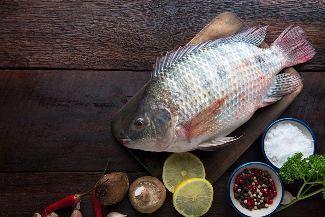 Ini Manfaat dan Bahaya Ikan Mujair yang Perlu Anda Ketahui