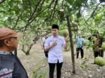 Sambangi Petani Jeruk Pamelo, Ibas Serap Aspirasi Warga Terkait Kelangkaan Pupuk Subsidi