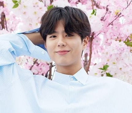 Usai Wamil, Park Bo Gum Pandu Baeksang Arts Awards