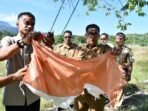 Dapati Bendera Kusam dan Sobek di Pelabuhan Palipi, Akmal: Jangankan Urus Perikanan, Ngurus Bendera Saja Tidak Bisa!