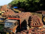 Menanti Realisasi Penggunaan Bahan Bakar Diesel B40