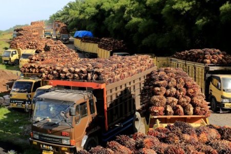 Menanti Realisasi Penggunaan Bahan Bakar Diesel B40