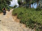 Akses Jalan ke Desa Lombang Serasa Uji Nyali, Diharapkan Realisasi Pemda untuk Perbaikan