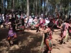 Perdana! Pagelaran Tondok Bakaru Village Festival, Semua Tentang Mamasa