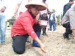 Hadapi Ancaman Krisis, Pj Gubernur Sulbar Canangkan Gerakan Merdeka Pangan
