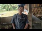 Tiga Hari Tergenang Air, Warga Desa Pajalele Ini Akui Belum Dikunjungi Pemkab Pasangkayu