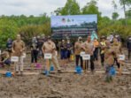 Kerja Sama Baru di Atas Hutan Mangrove