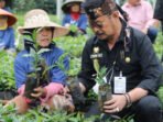 Perkebunan Indonesia Jadi Etalase Dunia