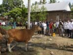 Wamentan Bersama PJ Gubernur Gerak Cepat Tangani Virus Jembrana di Sulbar