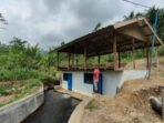 Pijar Setrum Mandiri dari Lereng Argopuro