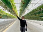 Berkunjung ke Korsel, Akmal Pelajari Sistem Smart Farming dan Pelayanan Kesehatan Masyarakat