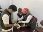 Hari Rabies Sedunia, 1.881 Ekor HPR Divaksinasi di Sulbar